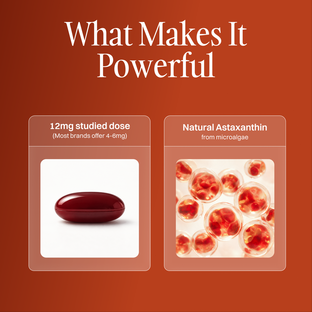 What makes it powerful: 12 mg studied dose of natural astaxanthin