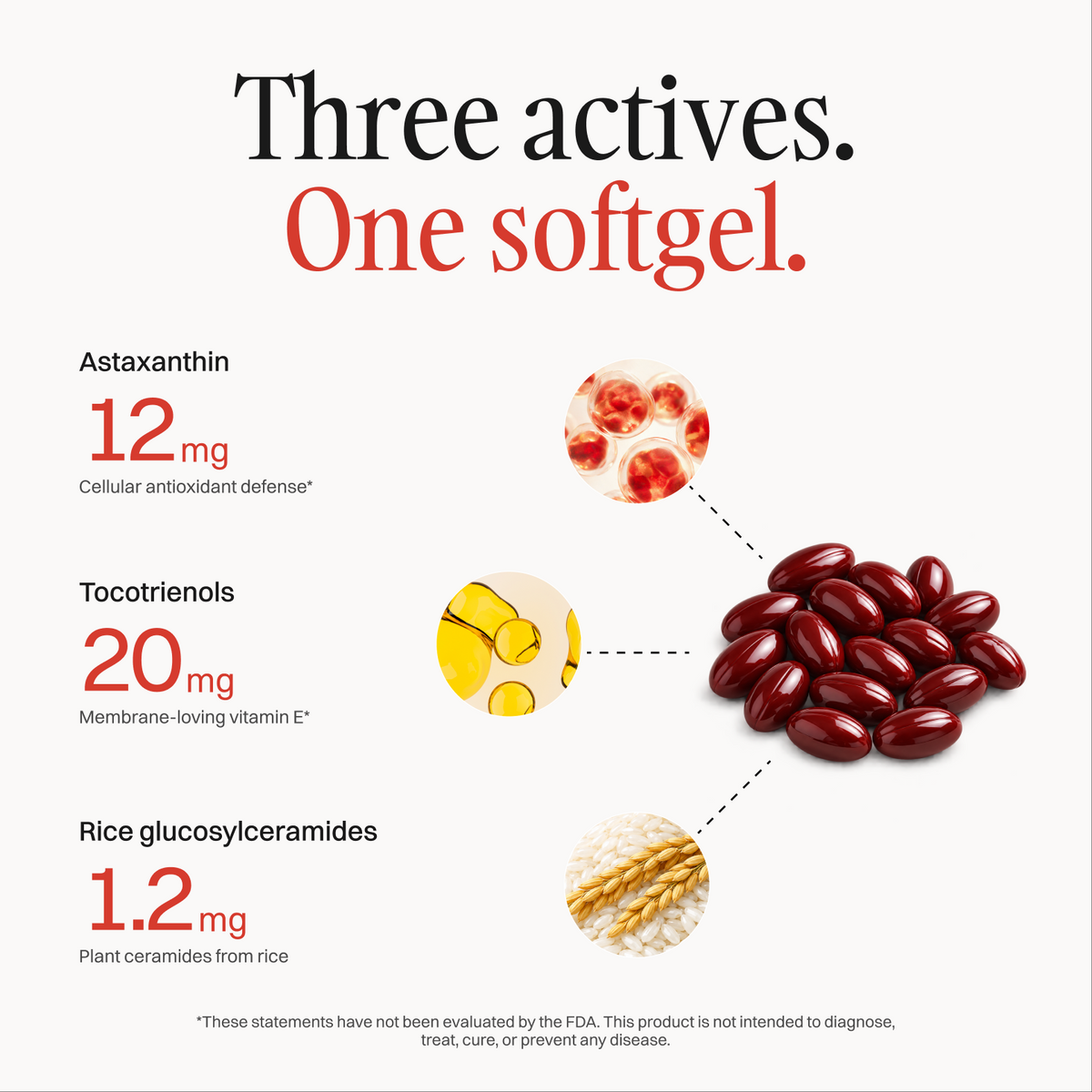 Three actives, one softgel: astaxanthin 12 mg, tocotrienols 20 mg, rice glucosylceramides 1.2 mg