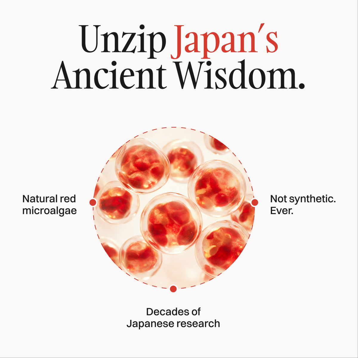 Unzip Japan's ancient wisdom: natural red microalgae