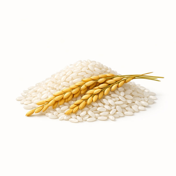 Rice, the source of glucosylceramides